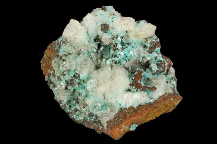 Calcite Encrusted Fibrous Aurichalcite Crystals - Mexico #127196